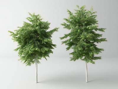 现代景观树